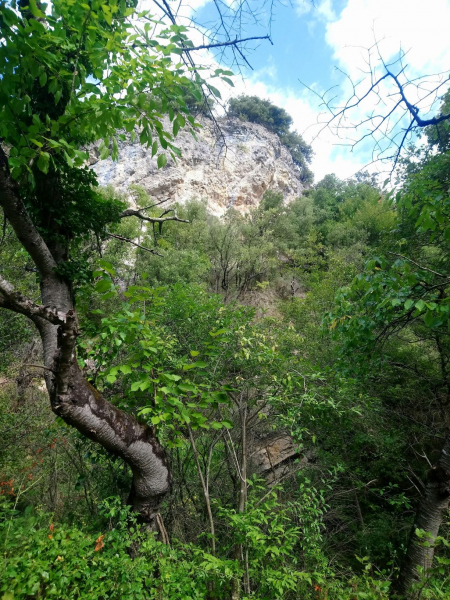 Rouvenac - Vers le Moulin du Trou