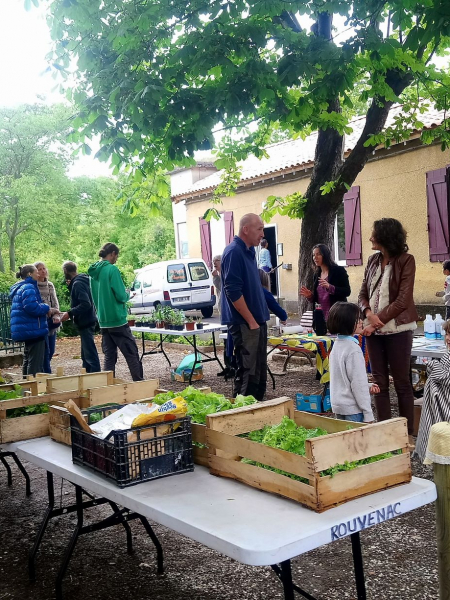Rouvenac - Le Petit Marché